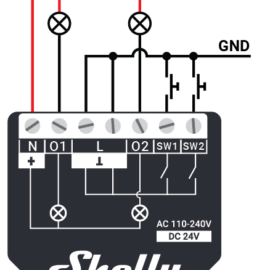 Shelly Qubino Wave 2PM image