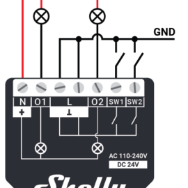 Shelly Qubino Wave 2PM image